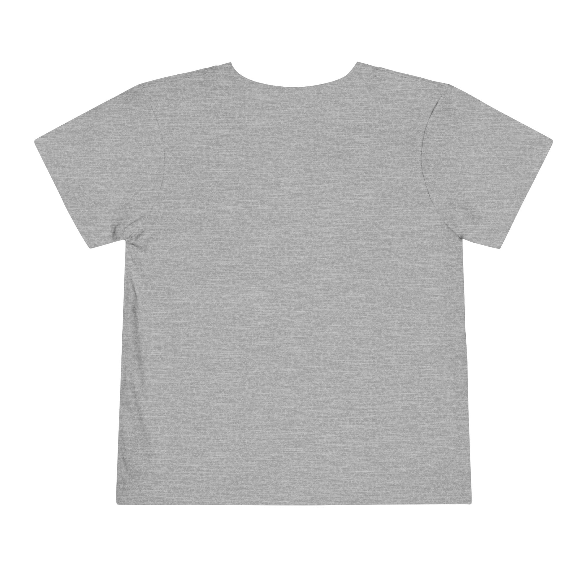  BILLY Toddler Short Sleeve Tee (Rainbow Sk8ter Logo) - AVAILABLE IN 3 COLORS
