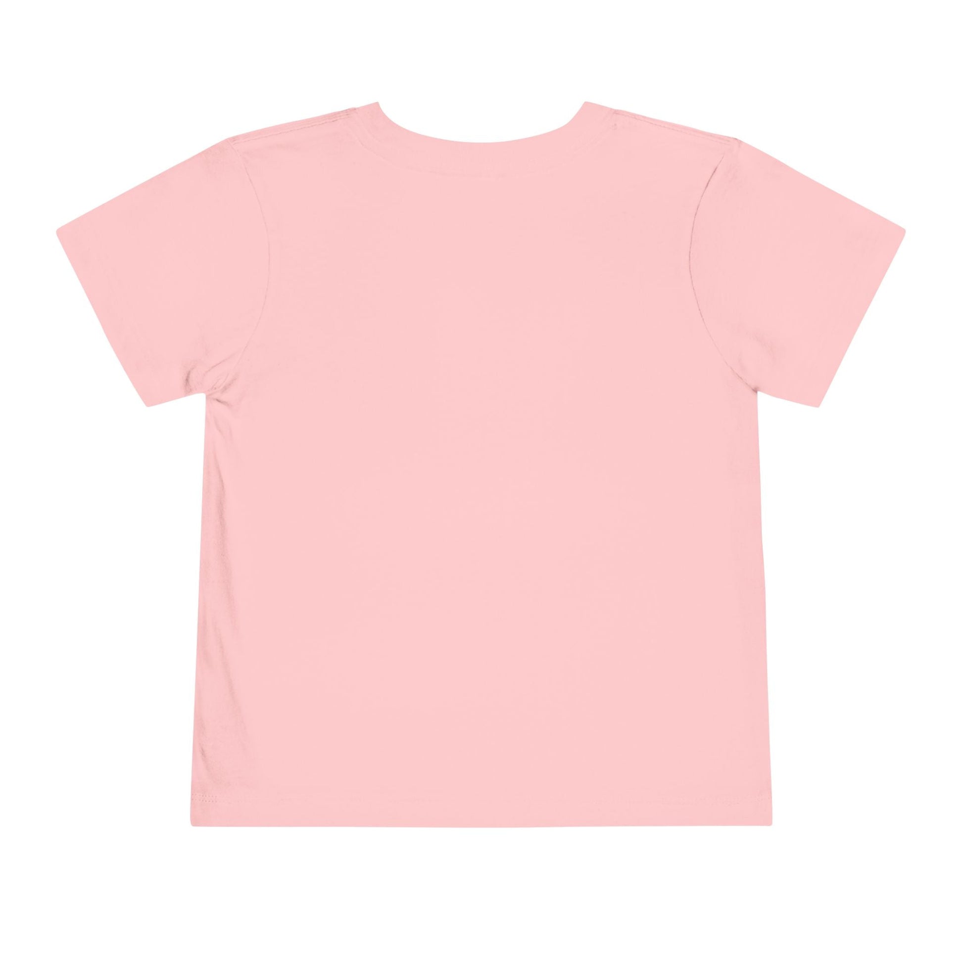  BILLY Toddler Short Sleeve Tee (Rainbow Sk8ter Logo) - AVAILABLE IN 3 COLORS